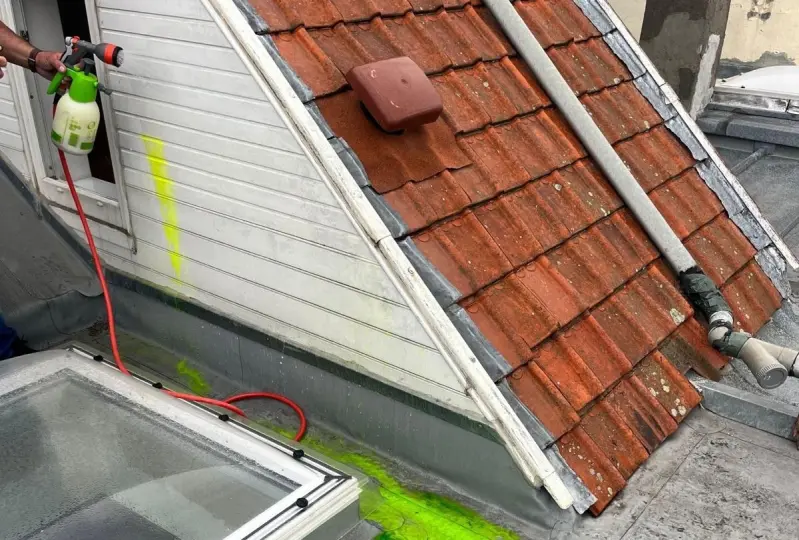 Vice caché après achat immobilier à Lille : que faire ? – PAPIACHVILI Avocats